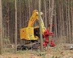 Tracked Feller Buncher working in forest